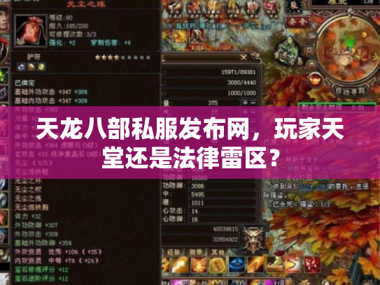 天龙八部私服发布网，玩家天堂还是法律雷区？