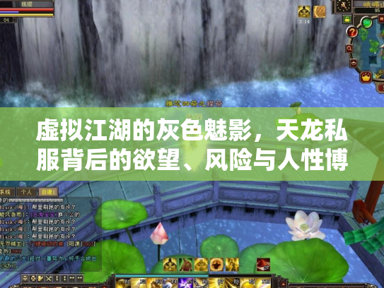 虚拟江湖的灰色魅影，天龙私服背后的欲望、风险与人性博弈