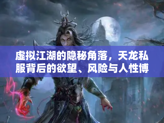虚拟江湖的隐秘角落，天龙私服背后的欲望、风险与人性博弈