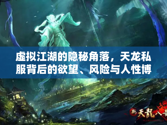 虚拟江湖的隐秘角落，天龙私服背后的欲望、风险与人性博弈
