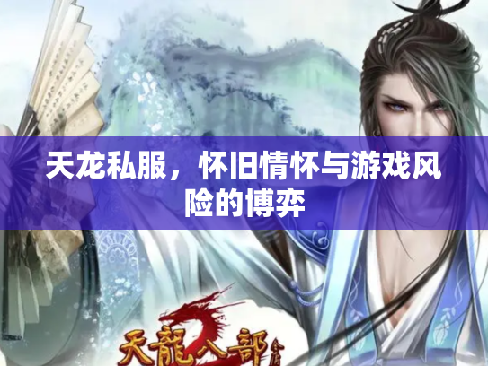 天龙私服，怀旧情怀与游戏风险的博弈