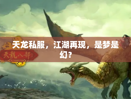 天龙私服，江湖再现，是梦是幻？
