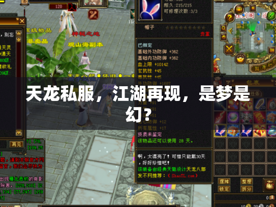 天龙私服，江湖再现，是梦是幻？
