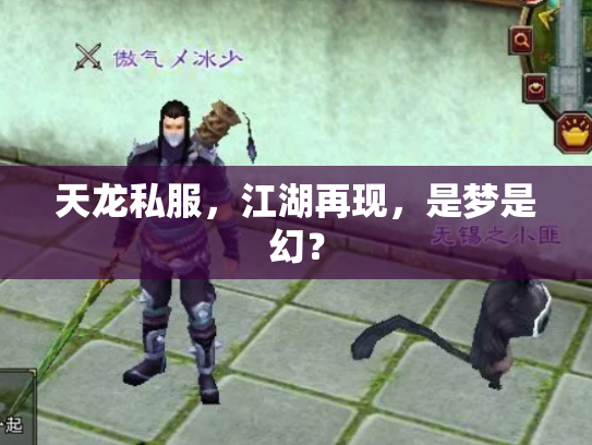 天龙私服，江湖再现，是梦是幻？