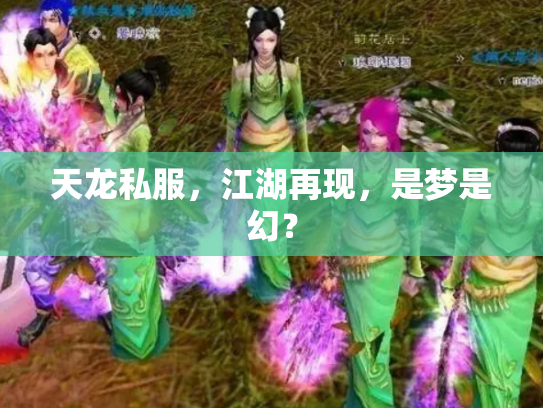 天龙私服，江湖再现，是梦是幻？