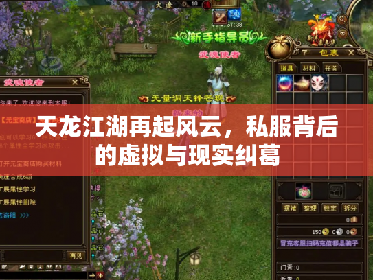 天龙江湖再起风云，私服背后的虚拟与现实纠葛