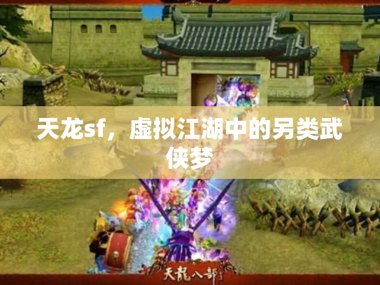天龙sf，虚拟江湖中的另类武侠梦