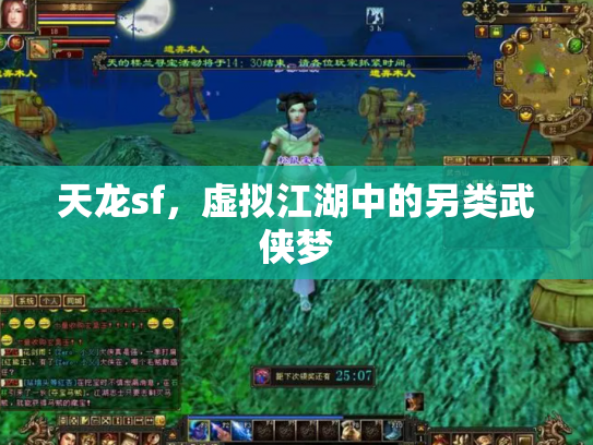 天龙sf，虚拟江湖中的另类武侠梦