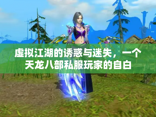 虚拟江湖的诱惑与迷失，一个天龙八部私服玩家的自白
