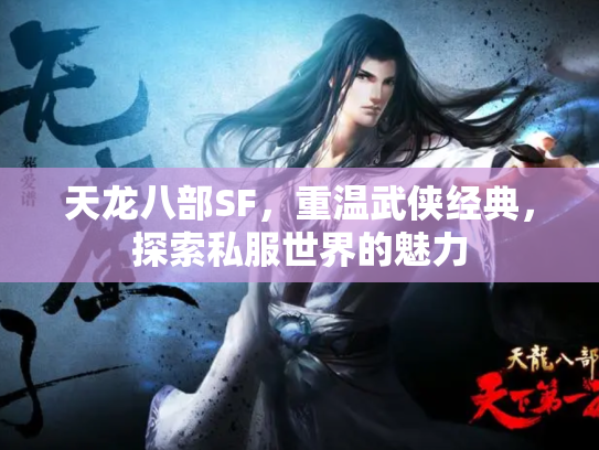 天龙八部SF，重温武侠经典，探索私服世界的魅力
