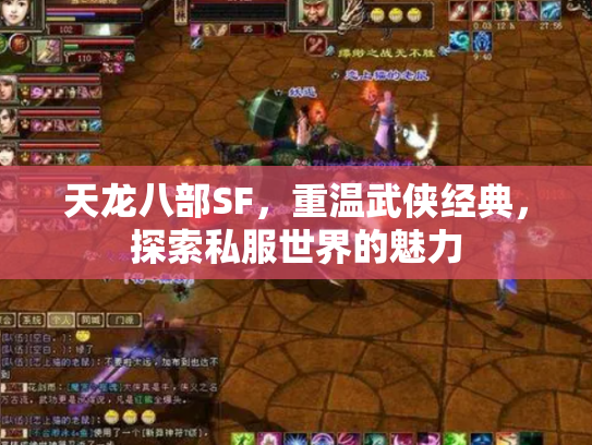 天龙八部SF，重温武侠经典，探索私服世界的魅力