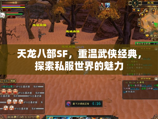 天龙八部SF，重温武侠经典，探索私服世界的魅力