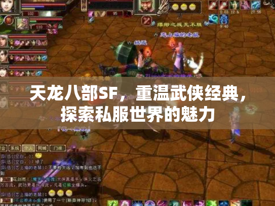 天龙八部SF，重温武侠经典，探索私服世界的魅力
