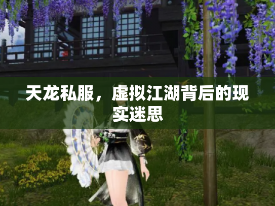 天龙私服，虚拟江湖背后的现实迷思