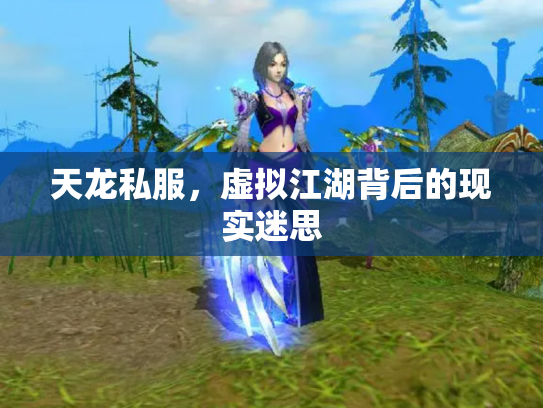 天龙私服，虚拟江湖背后的现实迷思