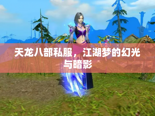 天龙八部私服，江湖梦的幻光与暗影