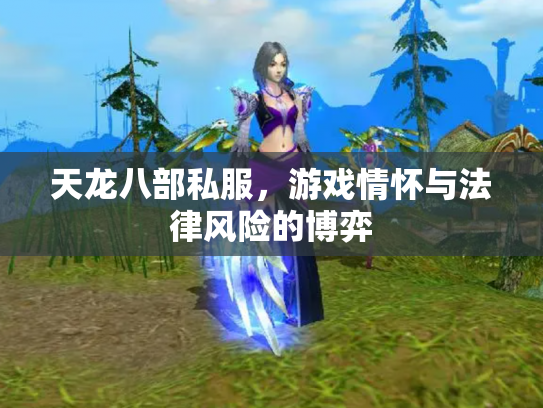天龙八部私服，游戏情怀与法律风险的博弈