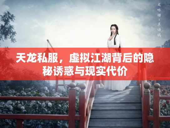 天龙私服，虚拟江湖背后的隐秘诱惑与现实代价