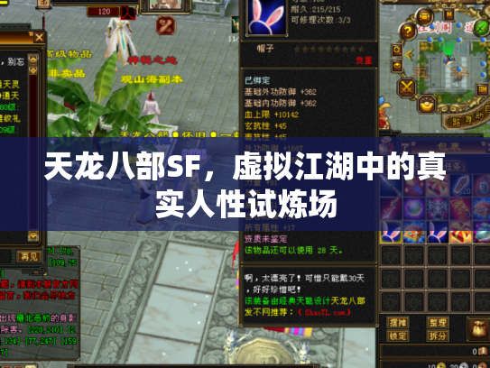 天龙八部SF，虚拟江湖中的真实人性试炼场