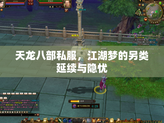 天龙八部私服，江湖梦的另类延续与隐忧