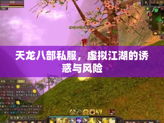 天龙八部私服，虚拟江湖的诱惑与风险