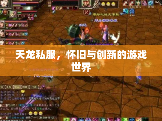 天龙私服，怀旧与创新的游戏世界