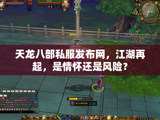 天龙八部私服发布网，江湖再起，是情怀还是风险？