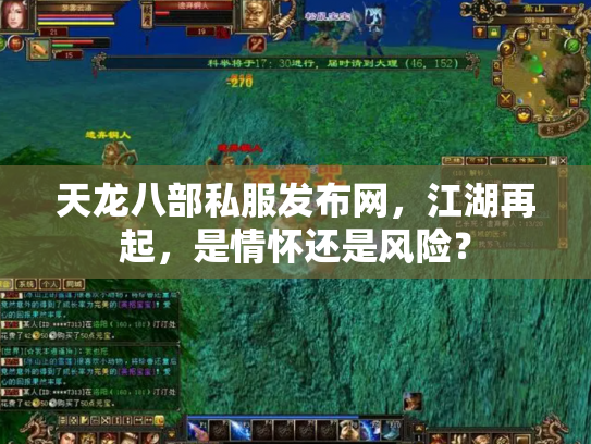 天龙八部私服发布网，江湖再起，是情怀还是风险？