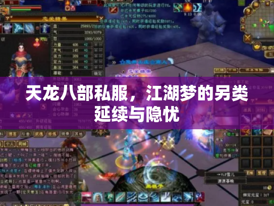 天龙八部私服，江湖梦的另类延续与隐忧