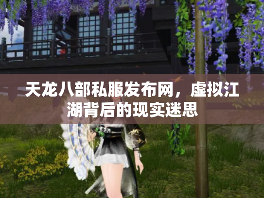 天龙八部私服发布网，虚拟江湖背后的现实迷思