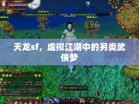 天龙sf，虚拟江湖中的另类武侠梦