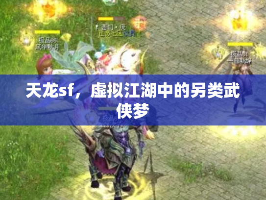 天龙sf，虚拟江湖中的另类武侠梦