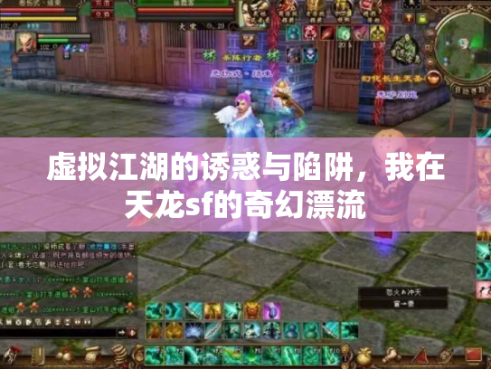 虚拟江湖的诱惑与陷阱，我在天龙sf的奇幻漂流