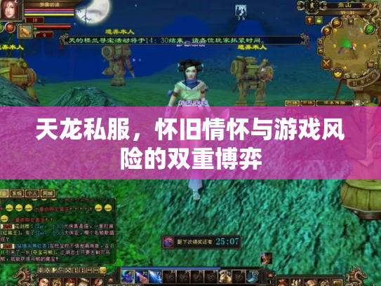 天龙私服，怀旧情怀与游戏风险的双重博弈