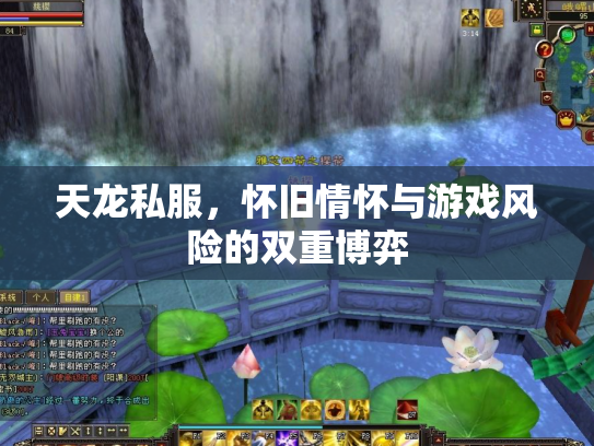 天龙私服，怀旧情怀与游戏风险的双重博弈