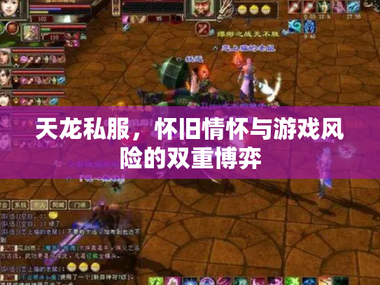 天龙私服，怀旧情怀与游戏风险的双重博弈
