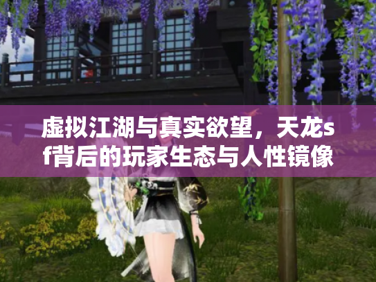 虚拟江湖与真实欲望，天龙sf背后的玩家生态与人性镜像