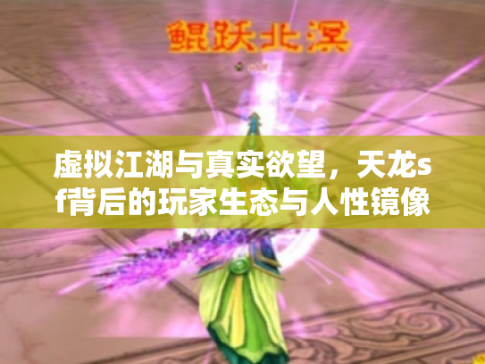 虚拟江湖与真实欲望，天龙sf背后的玩家生态与人性镜像