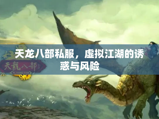 天龙八部私服，虚拟江湖的诱惑与风险