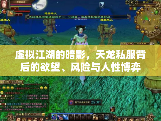虚拟江湖的暗影，天龙私服背后的欲望、风险与人性博弈