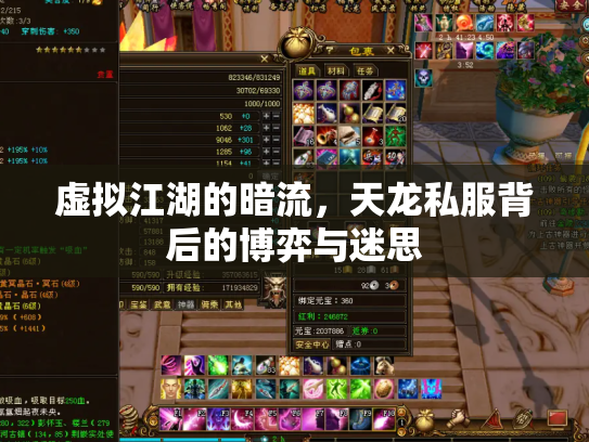 虚拟江湖的暗流，天龙私服背后的博弈与迷思