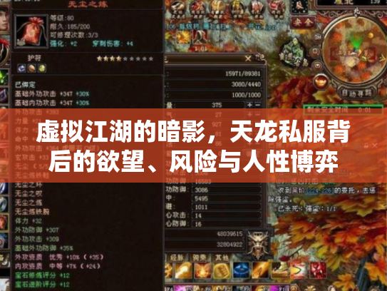 虚拟江湖的暗影，天龙私服背后的欲望、风险与人性博弈