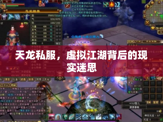 天龙私服，虚拟江湖背后的现实迷思
