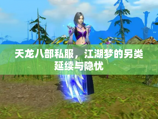 天龙八部私服，江湖梦的另类延续与隐忧