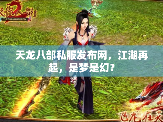天龙八部私服发布网，江湖再起，是梦是幻？