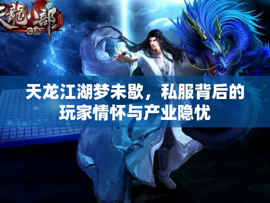 天龙江湖梦未歇，私服背后的玩家情怀与产业隐忧