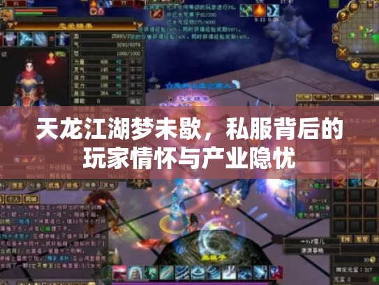 天龙江湖梦未歇，私服背后的玩家情怀与产业隐忧