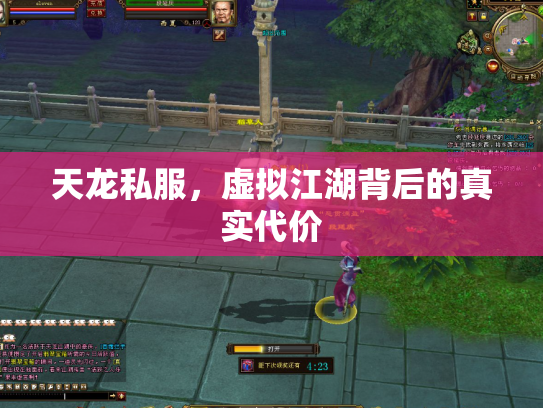 天龙私服，虚拟江湖背后的真实代价