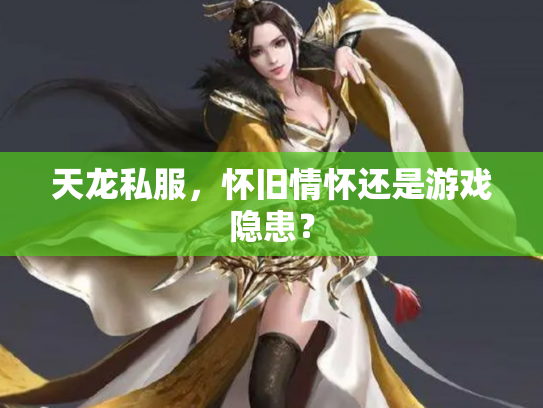 天龙私服，怀旧情怀还是游戏隐患？