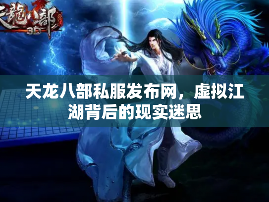 天龙八部私服发布网，虚拟江湖背后的现实迷思